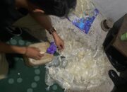 7 Pria Diamankan Polres Ternate Diduga Pesta Miras