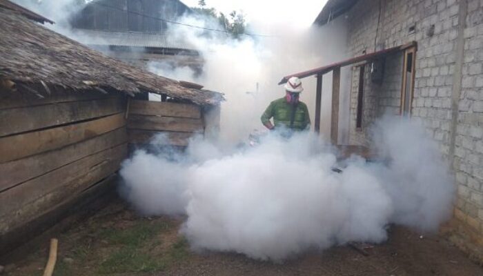 Cegah DBD, NHM Laksanakan Kegiatan Fogging di Kao Teluk 