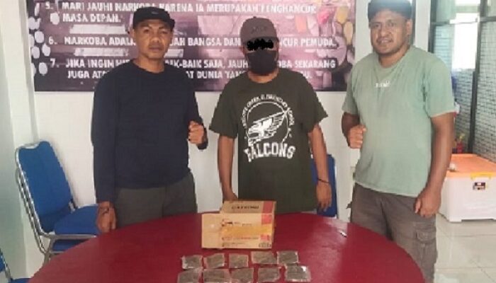 Satresnarkoba Polres Halut Tangkap Lagi Pengedar Ganja, Bukti Narkoba Masih Marak