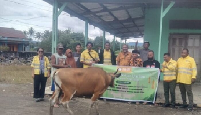 Sambut Idul Adha, NHM Salurkan 61 Hewan Kurban di Lingkar Tambang