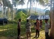 Oknum Polisi Diduga Beking Judi Sabung Ayam, Kapolsek Obi: Itu Tidak Benar