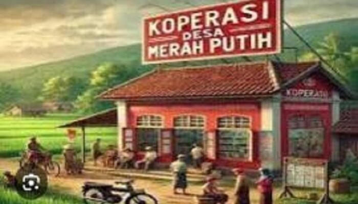 Sudah 61 Desa di Halteng Bentuk Koperasi Merah Putih, Majid: Tapi Baru 16 Desa Berbadan Hukum 