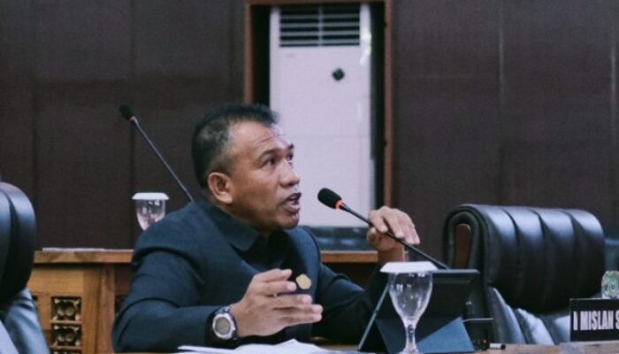 Kecewa Taliabu Tak Masuk Prioritas RPJMD, Anggota DPRD Malut Dapil V: Daerah Perbatasan Dianaktirikan