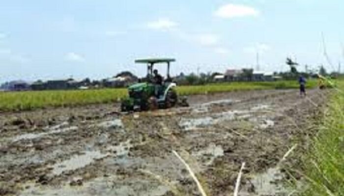 Astga! Distan Halut Diduga Kase Mancari Traktor Bantuan ke Petani