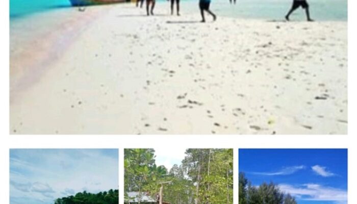 Taman ‘Surga’ Tersembunyi di Pulau Gebe