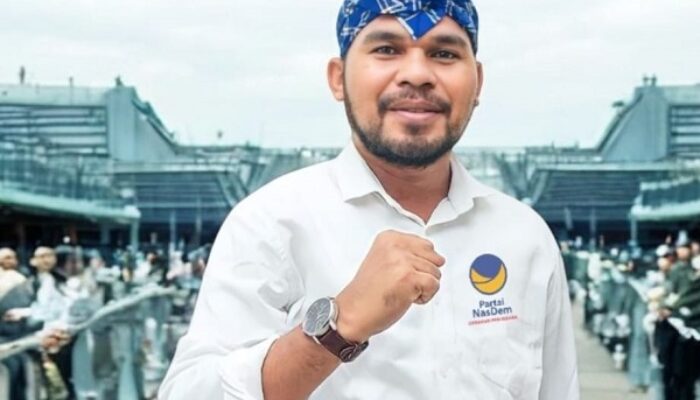 PT NICO Terjunkan Harga Kelapa, Fraksi NasDem: Jangan Main Harga, Susahnya Petani