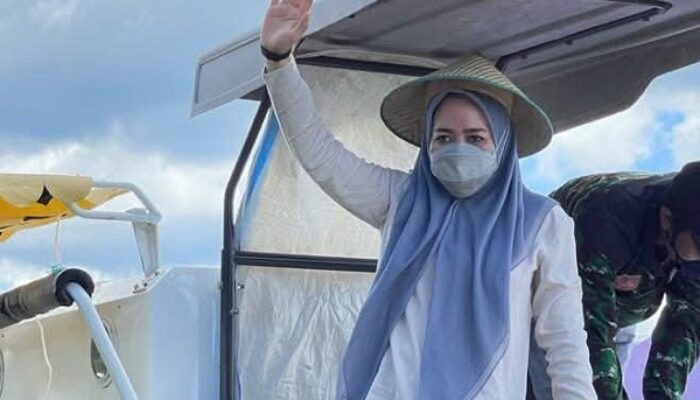 Buka Bimtek UMKM Bidang Kehutanan, Alien Mus: Gaharu Bisa Jadi Produk Unggulan, Malut Harus Naik Kelas