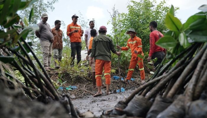 IWIP Lanjutkan Program Penanaman Satu Juta Mangrove di Halmahera Timur