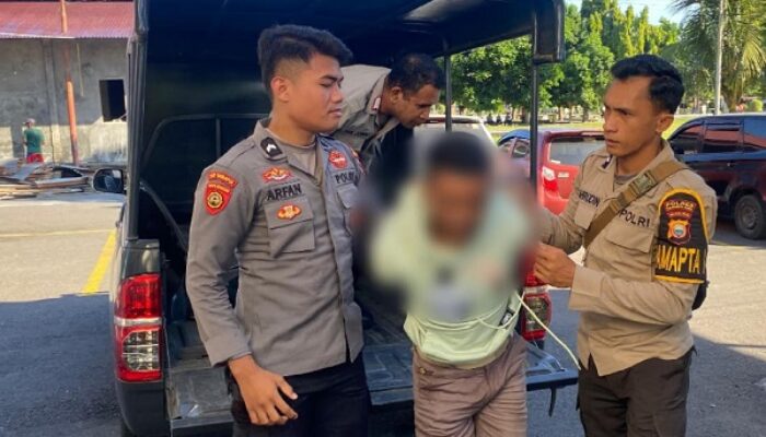 Polres Halut Ciduk Terduga Pelaku Pencurian Biji Pala