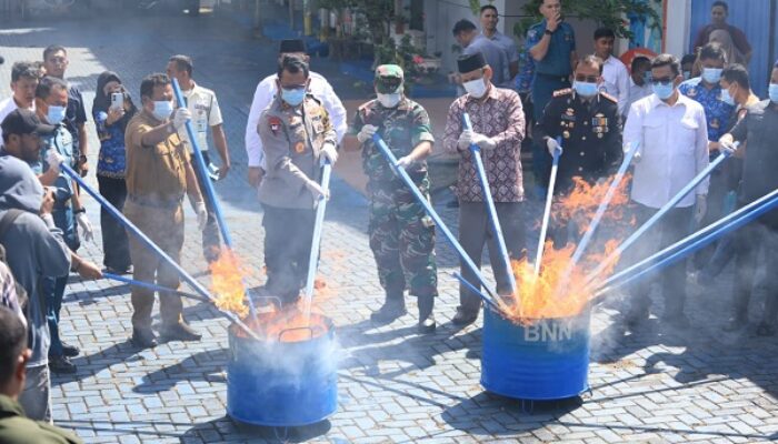 BNN Malut Musnahkan Babuk Ganja Hingga Sabu-Sabu Ribuan Gram