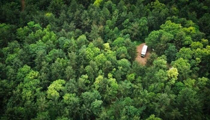 Bukan Sekadar Kewajiban Hukum, Harita Nickel Transformasikan Reklamasi Jadi Komitmen Pemulihan Ekosistem