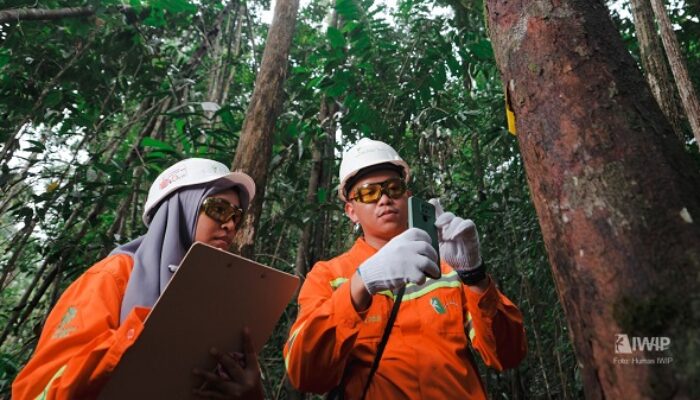 Tunjukkan Komitmen Lingkungan, Weda Bay Nickel Lakukan Rehabilitasi DAS Seluas 4,2 Ribu Hektare di Maluku Utara