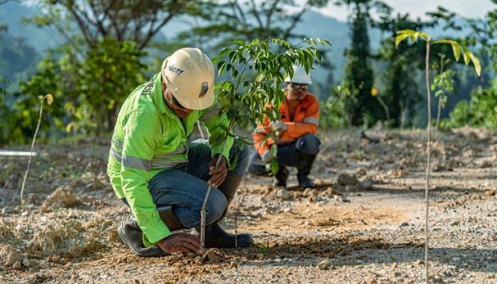 Dorong Pertambangan Berkelanjutan, NHM Rehabilitasi 232,69 Hektar Lahan