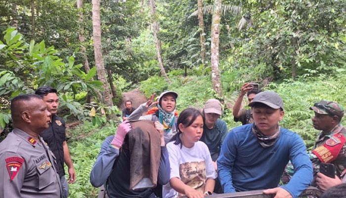 Usai Evakuasi 17 Pendaki Dukono, Tim SAR Hentikan Pencarian Buntut Cuaca Ekstirm
