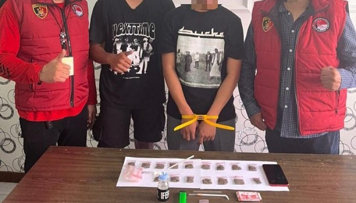 Ganja ‘Subur’ di Kota Ternate, Buntut Ditresnarkoba Polda Malut Tangkap Lagi Pengedarnya
