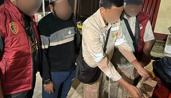 Polda Malut Tangkap Oknum Karyawan IWIP, Gegara Miliki Narkoba