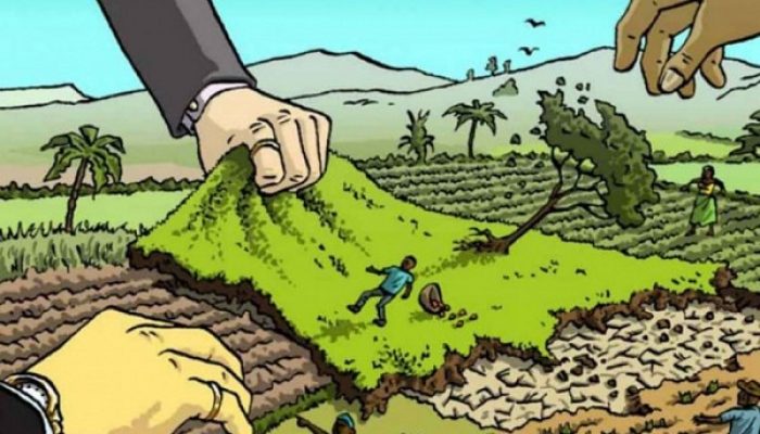Lidik Kasus ‘Rampas’ Lahan Warga, Polres Halut Periksa Bupati Piet