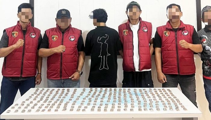 Polda Malut Ringkus Lagi Pengedar Narkoba, Temukan Ratusan Sachet Ganja di Plafon