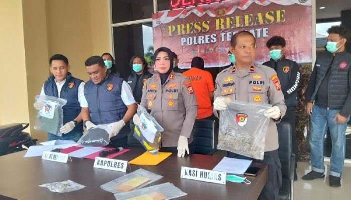 11 Kali Begali Payudara, Pelaku Terancam Hukuman Penjara 12 Tahun