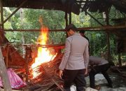 Polsek Gane Timur Temukan Lagi Poduksi Cap Tikus, Babuk Langsung Dimusnahkan