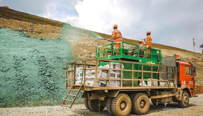 Weda Bay Nickel Perkuat Reklamasi dan Revegetasi Tambang untuk Restorasi Lingkungan