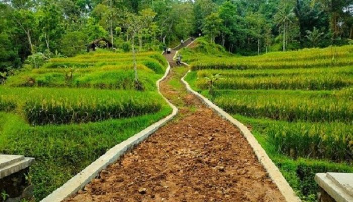 Anggaran Jalan Tani di Tidore Tak Tercantum di Papan Informasi, Hendra: Ini Patut Dicurigai